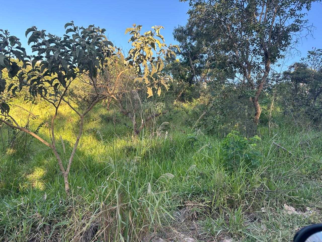 Terreno, 200 m² - Foto 1