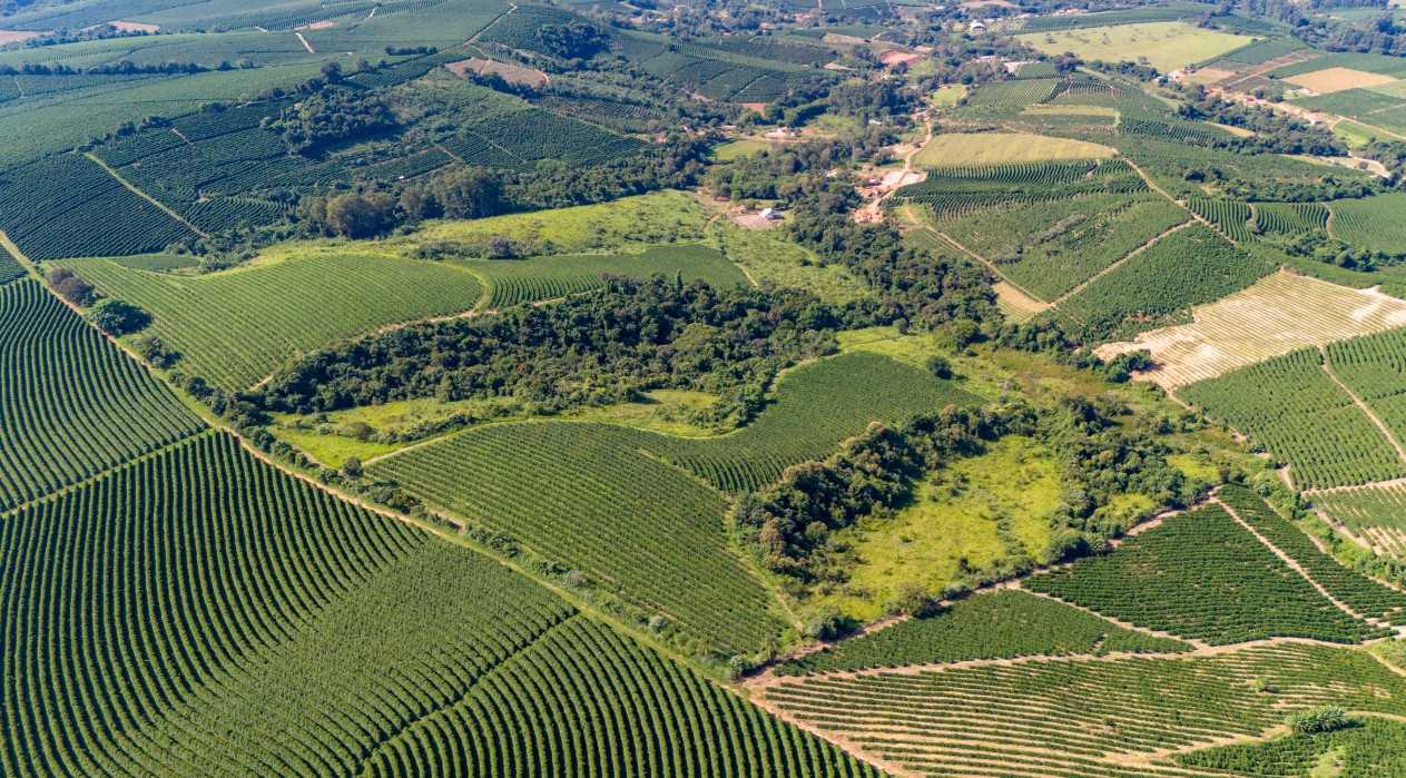 Sítio, 2 quartos, 37 hectares - Foto 1