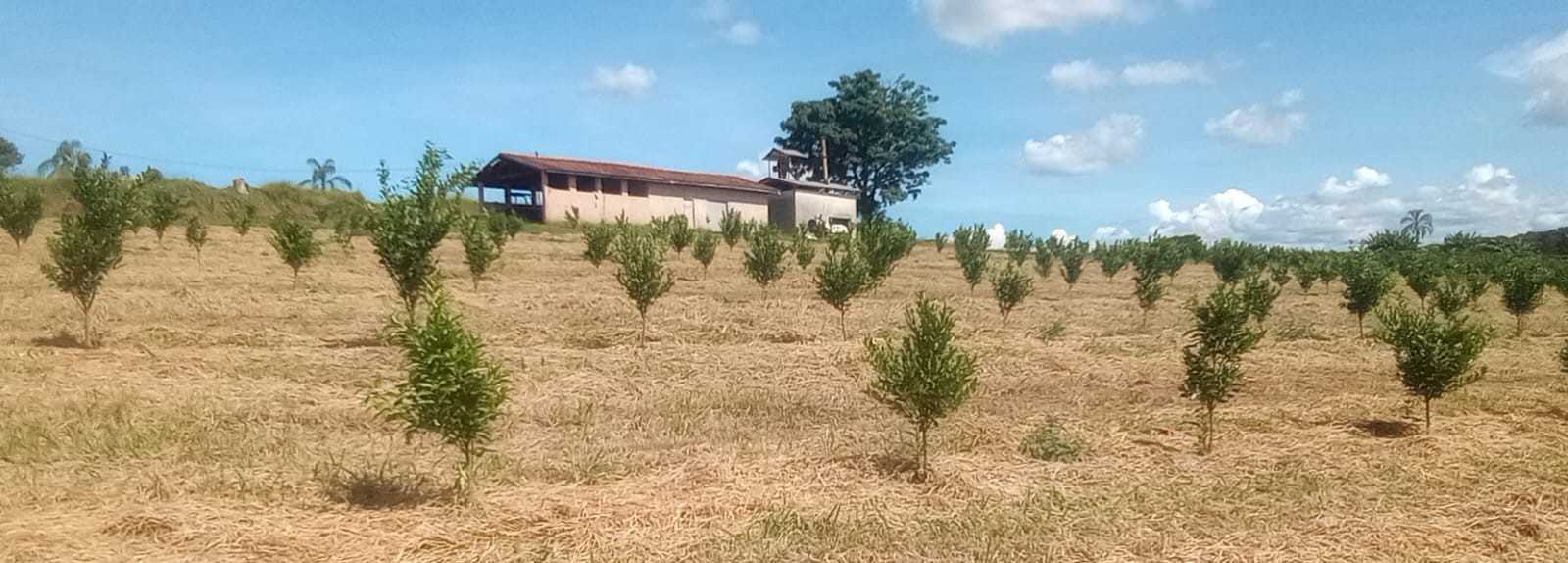 Fazenda, 666 m² - Foto 25