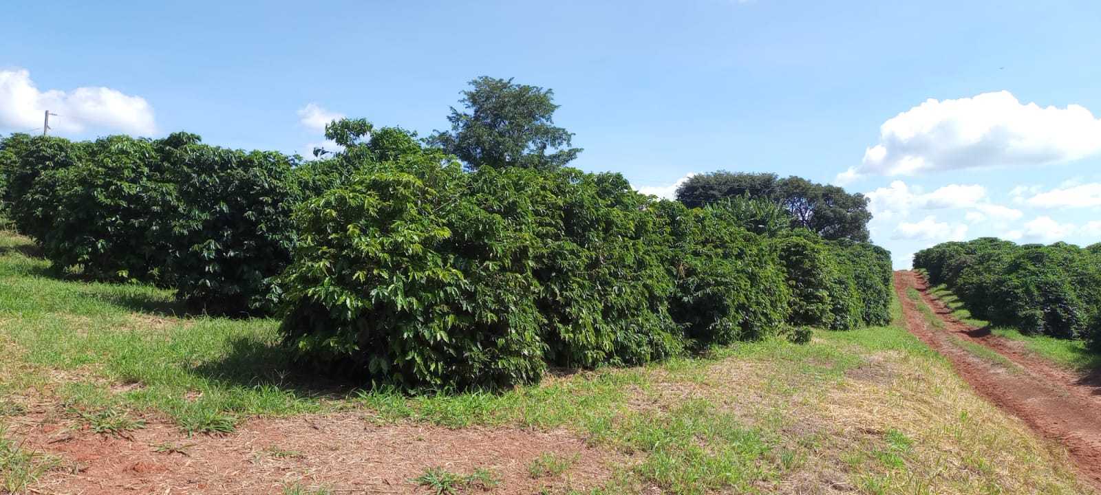 Fazenda, 666 m² - Foto 8