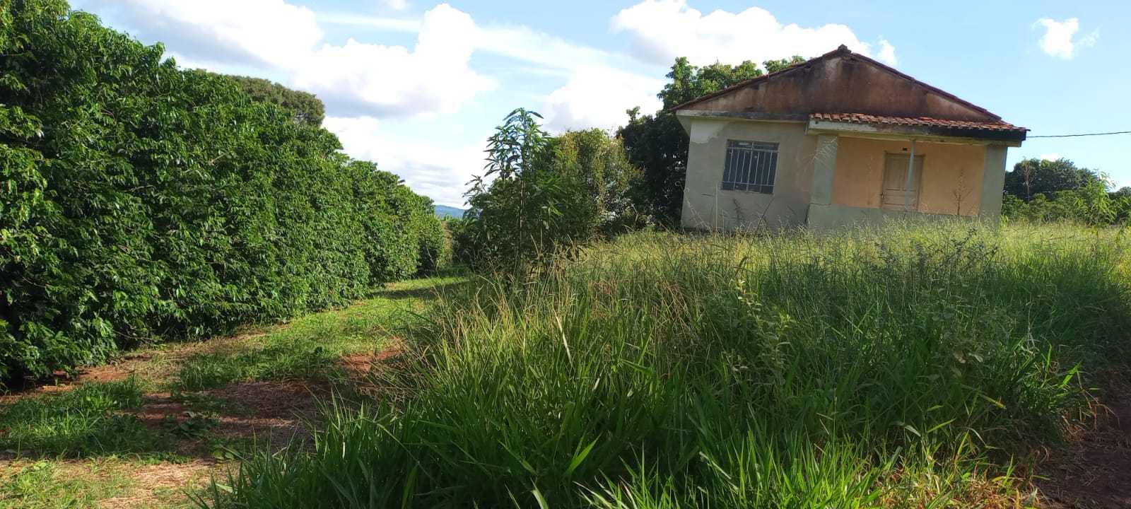 Fazenda, 666 m² - Foto 16