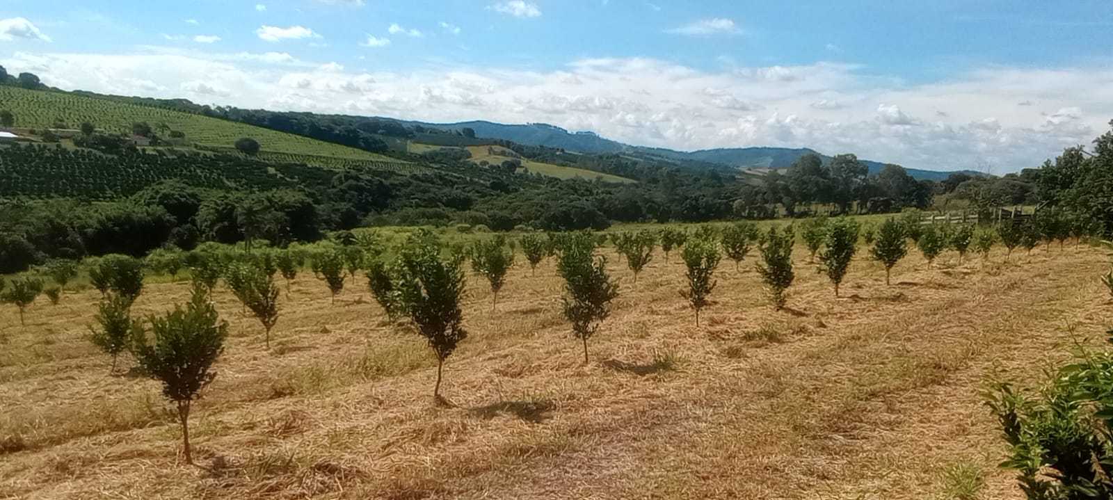 Fazenda, 666 m² - Foto 24