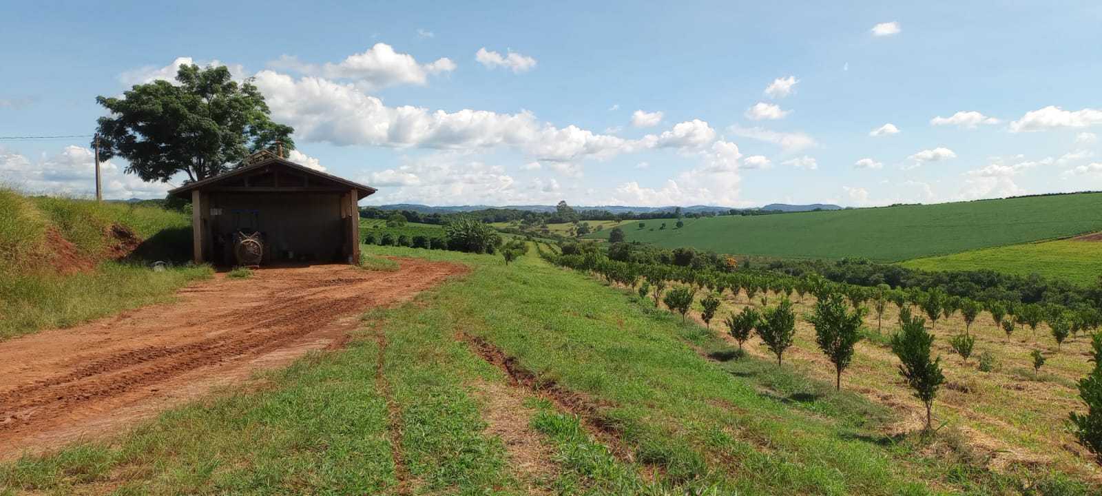 Fazenda, 666 m² - Foto 12