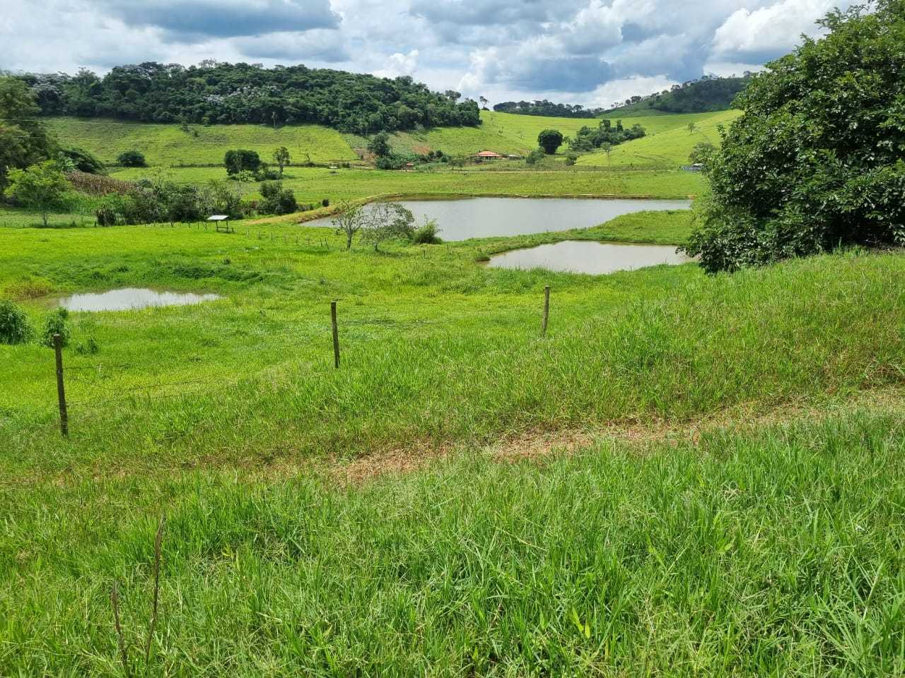 Fazenda, 34 hectares - Foto 11