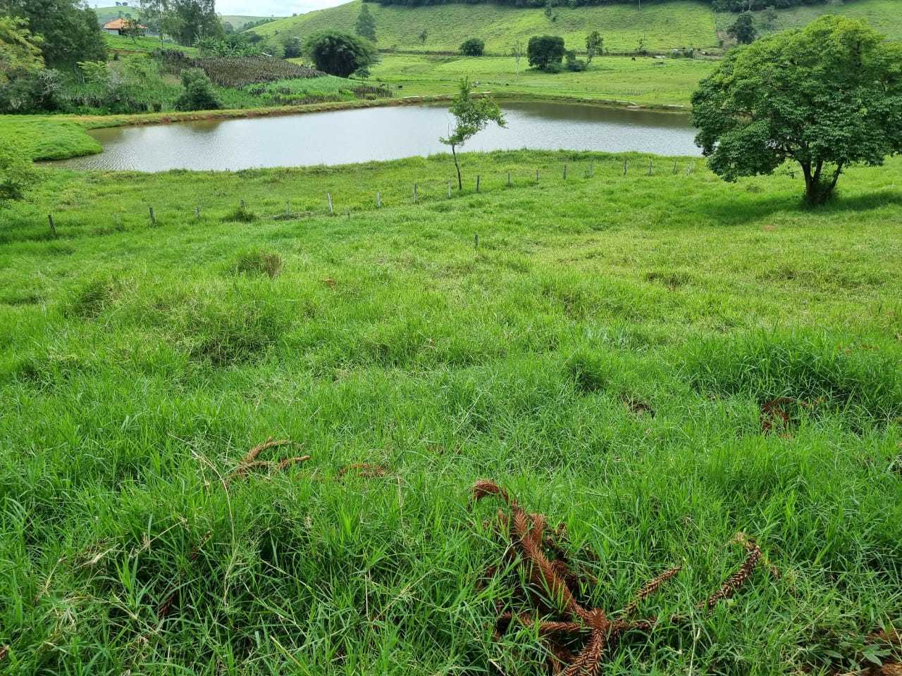 Fazenda, 34 hectares - Foto 12