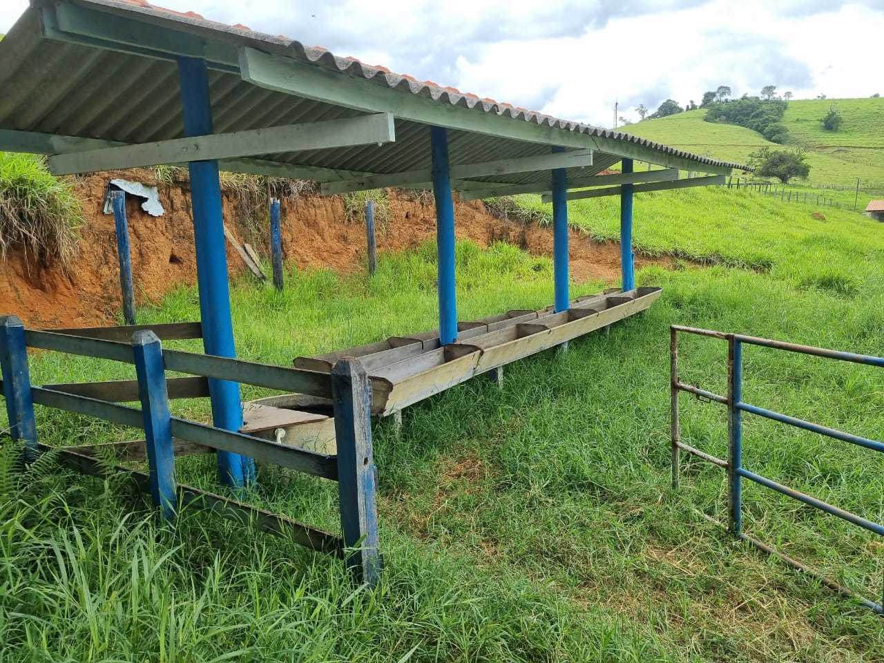 Fazenda, 34 hectares - Foto 15