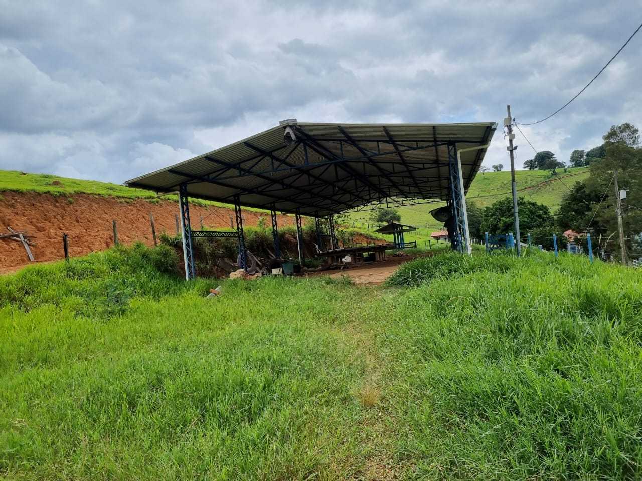 Fazenda, 34 hectares - Foto 7