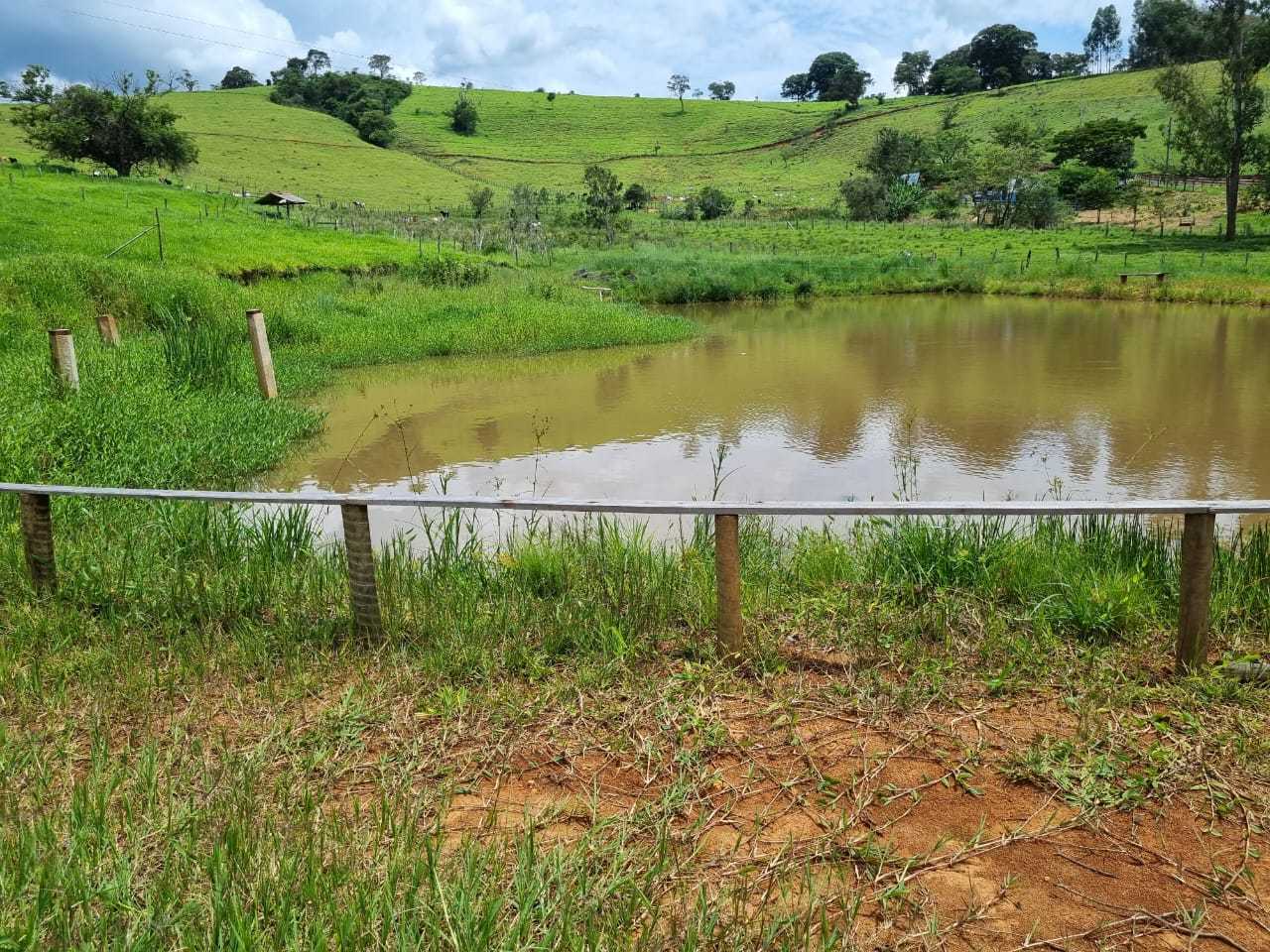 Fazenda, 34 hectares - Foto 14