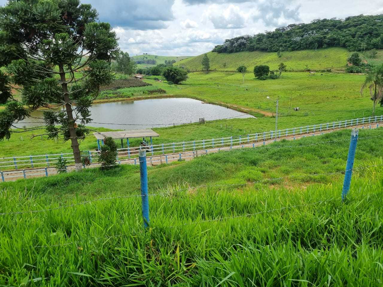 Fazenda, 34 hectares - Foto 6