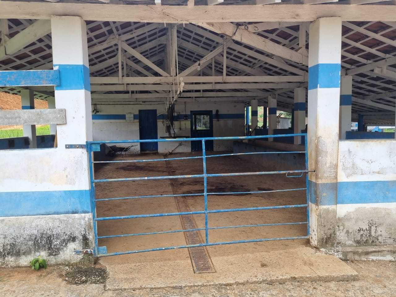 Fazenda, 34 hectares - Foto 25