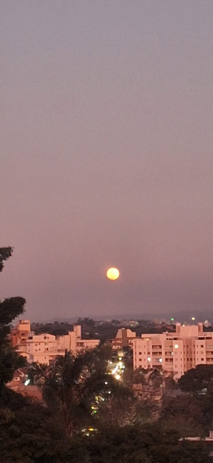 Sala-Conjunto, 31 m² - Foto 14