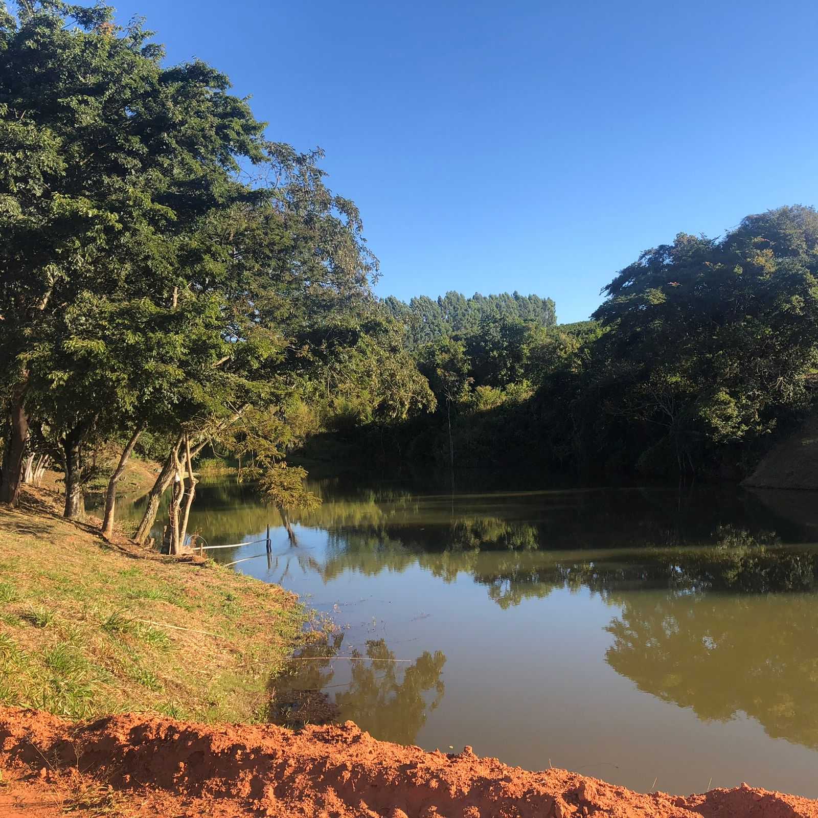 Fazenda, 61 hectares - Foto 8