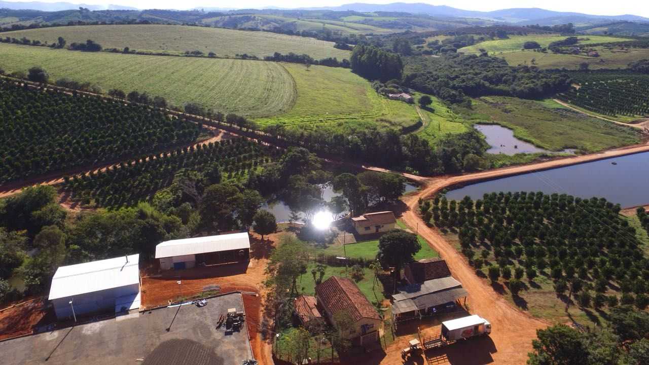 Fazenda, 61 hectares - Foto 3