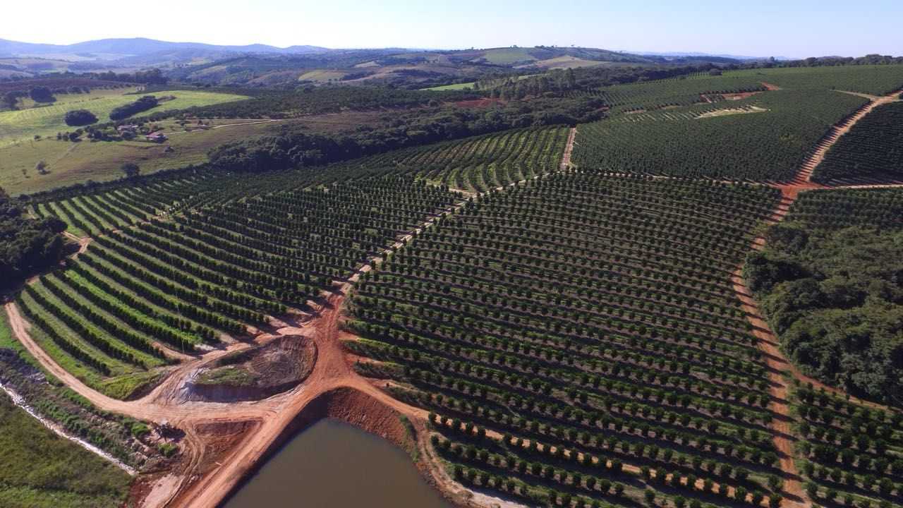 Fazenda, 61 hectares - Foto 4
