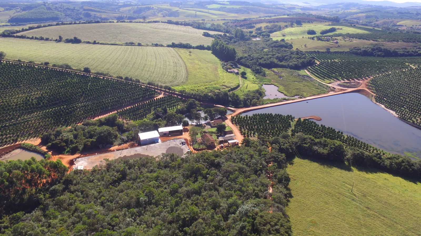 Fazenda, 61 hectares - Foto 10