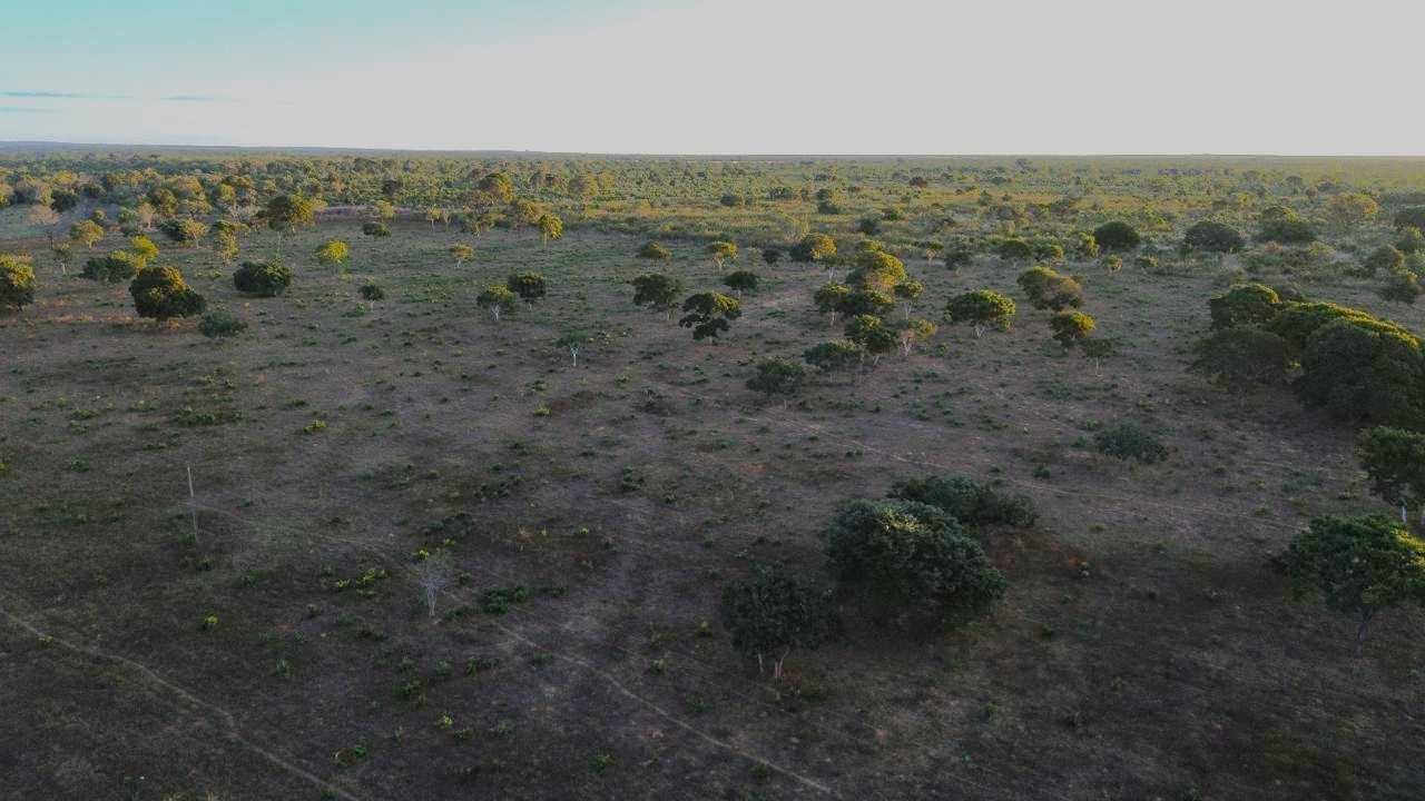 Fazenda, 335 hectares - Foto 7