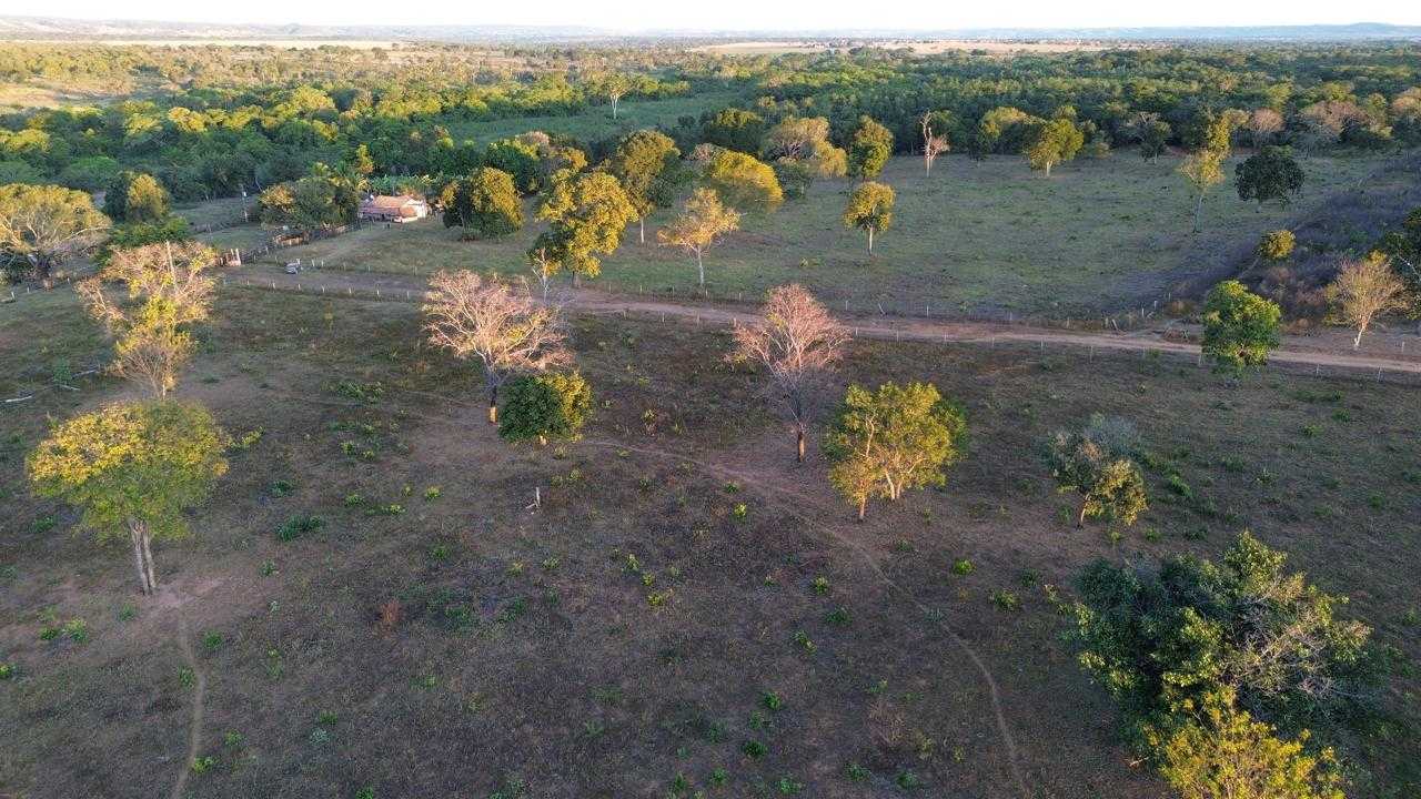 Fazenda, 335 hectares - Foto 3