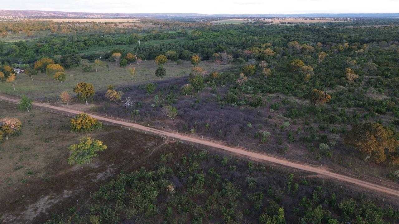 Fazenda, 335 hectares - Foto 8