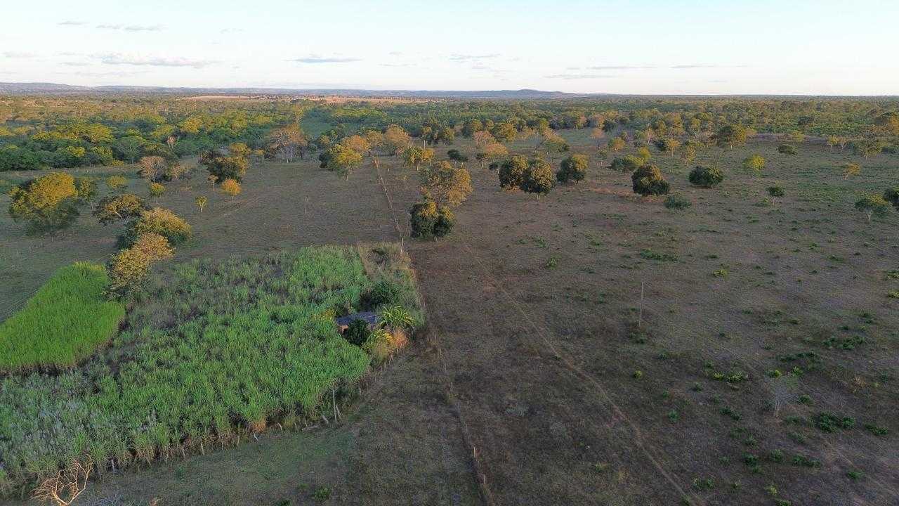 Fazenda, 335 hectares - Foto 6