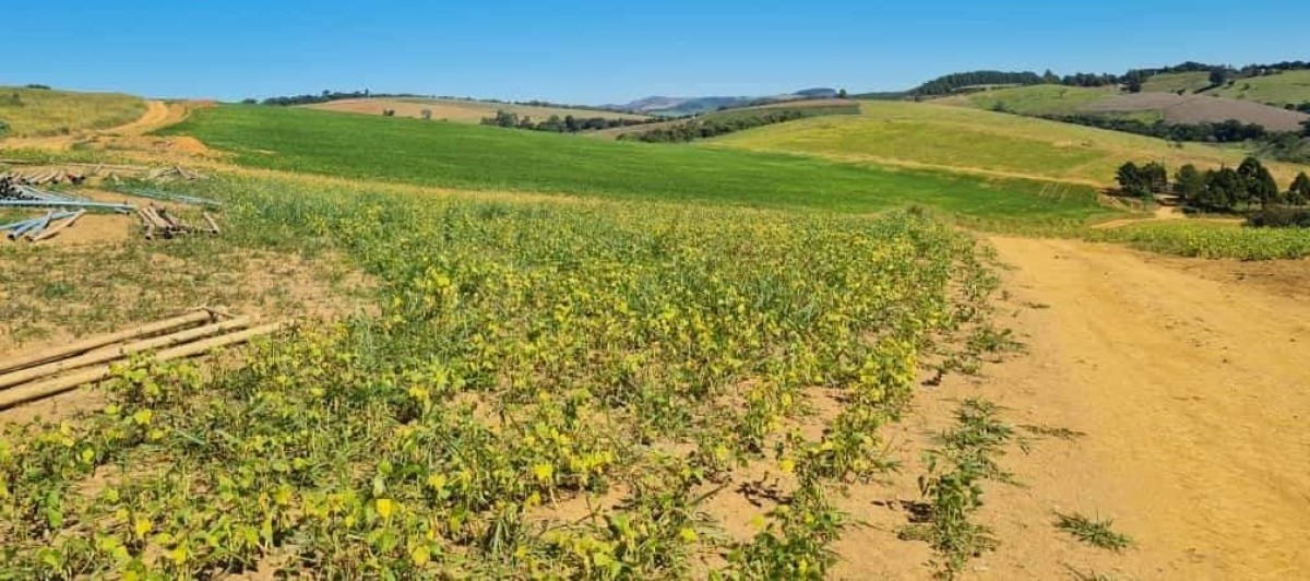 Fazenda, 1 quarto - Foto 13