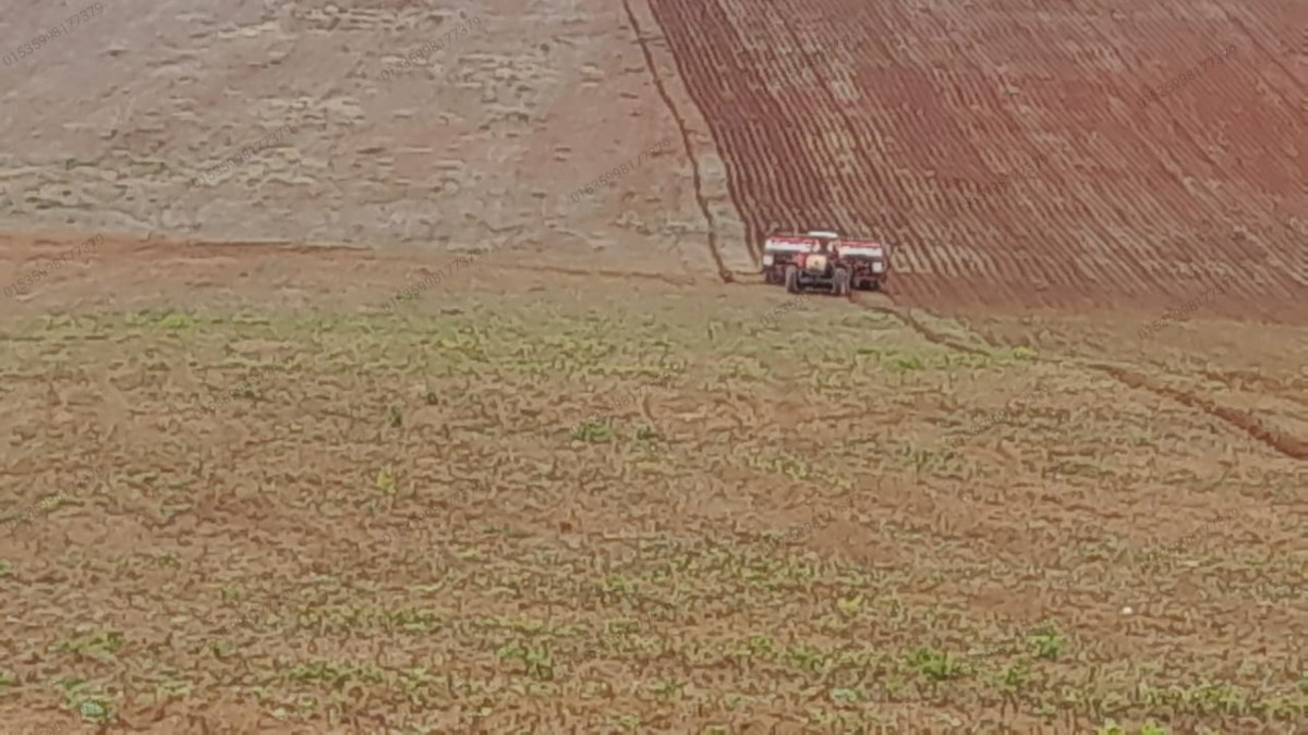 Fazenda, 1 quarto - Foto 19