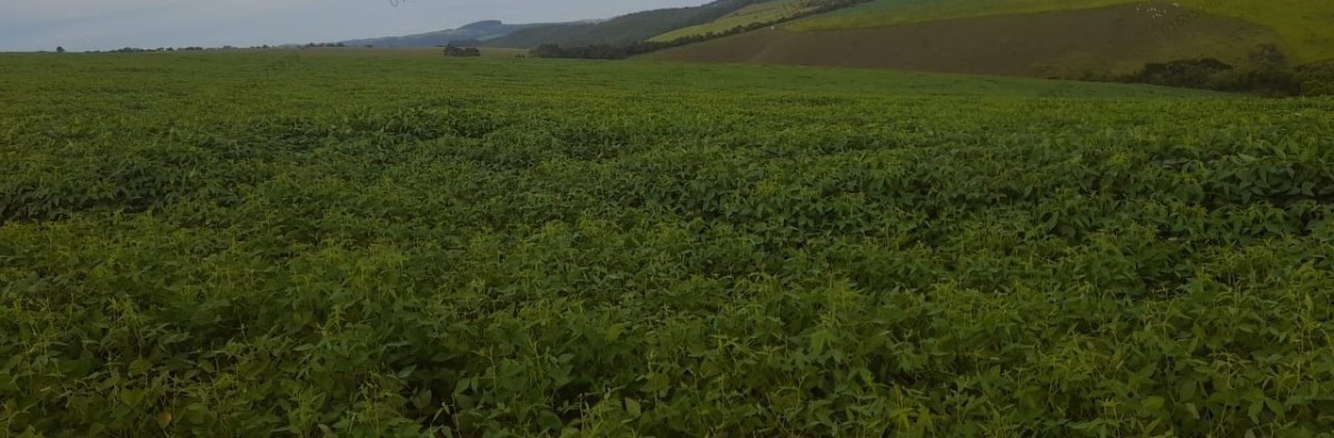 Fazenda, 1 quarto - Foto 9