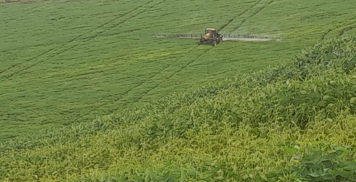 Fazenda, 1 quarto - Foto 10