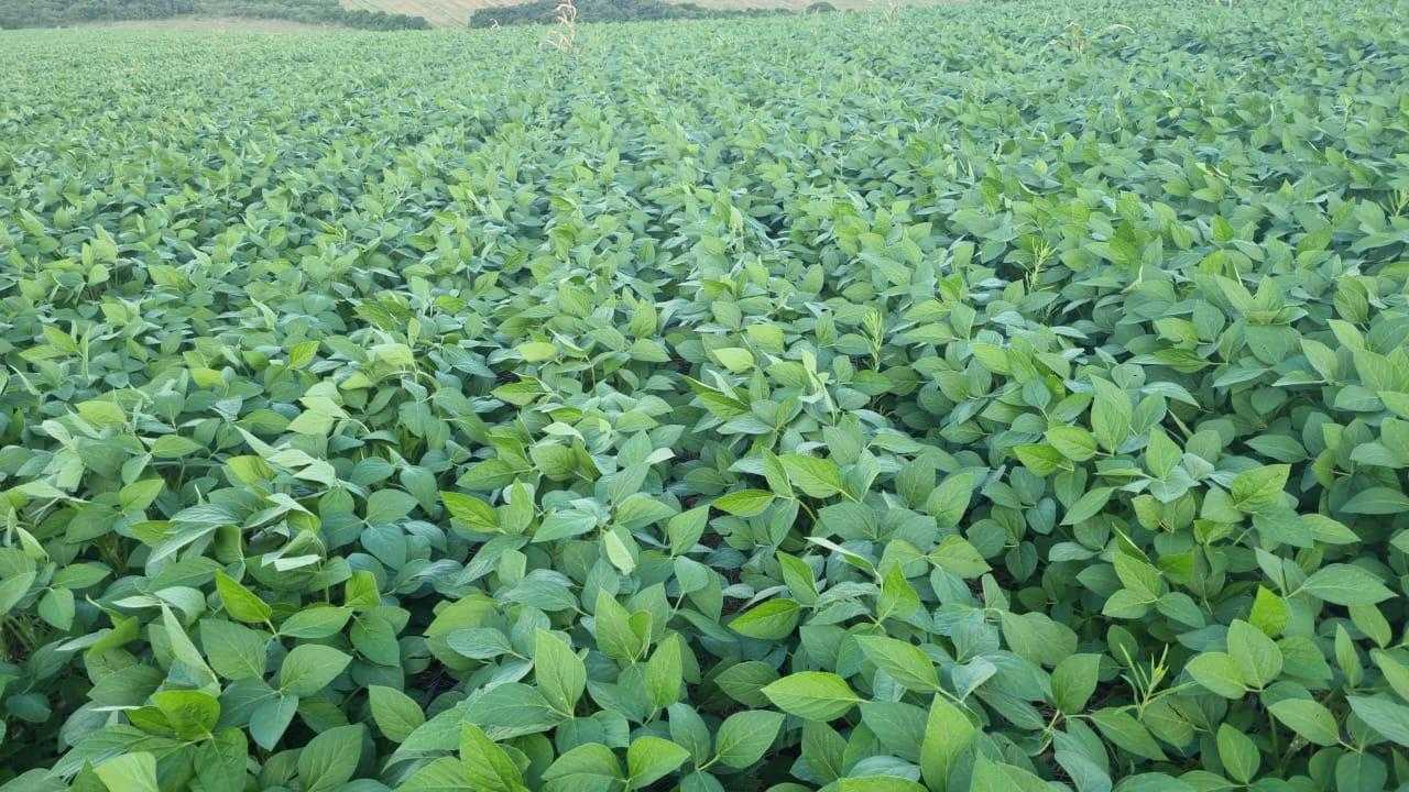 Fazenda, 1 quarto - Foto 1