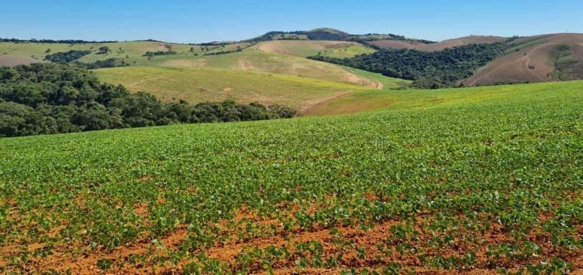 Fazenda, 1 quarto - Foto 5