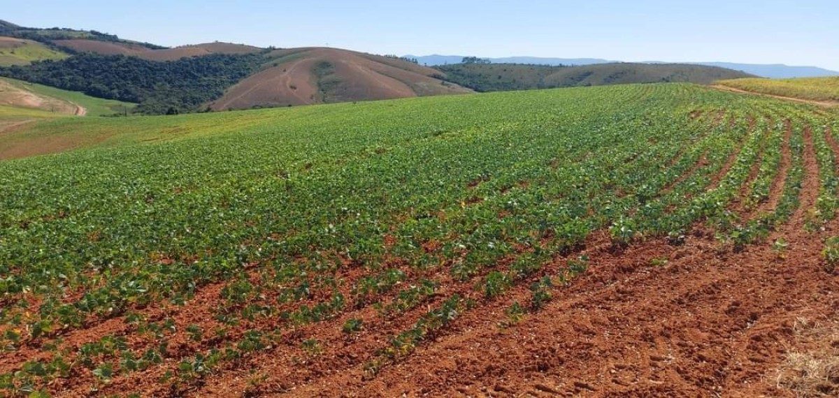 Fazenda, 1 quarto - Foto 6