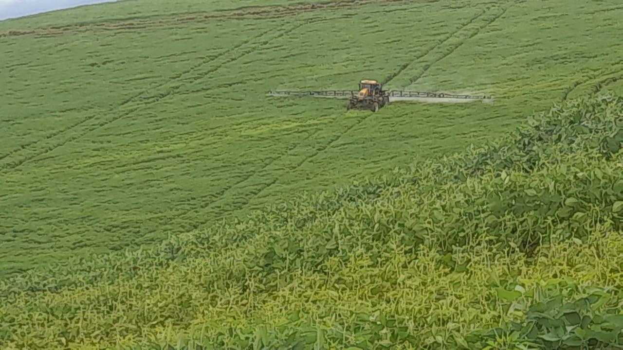 Fazenda, 90 hectares - Foto 9