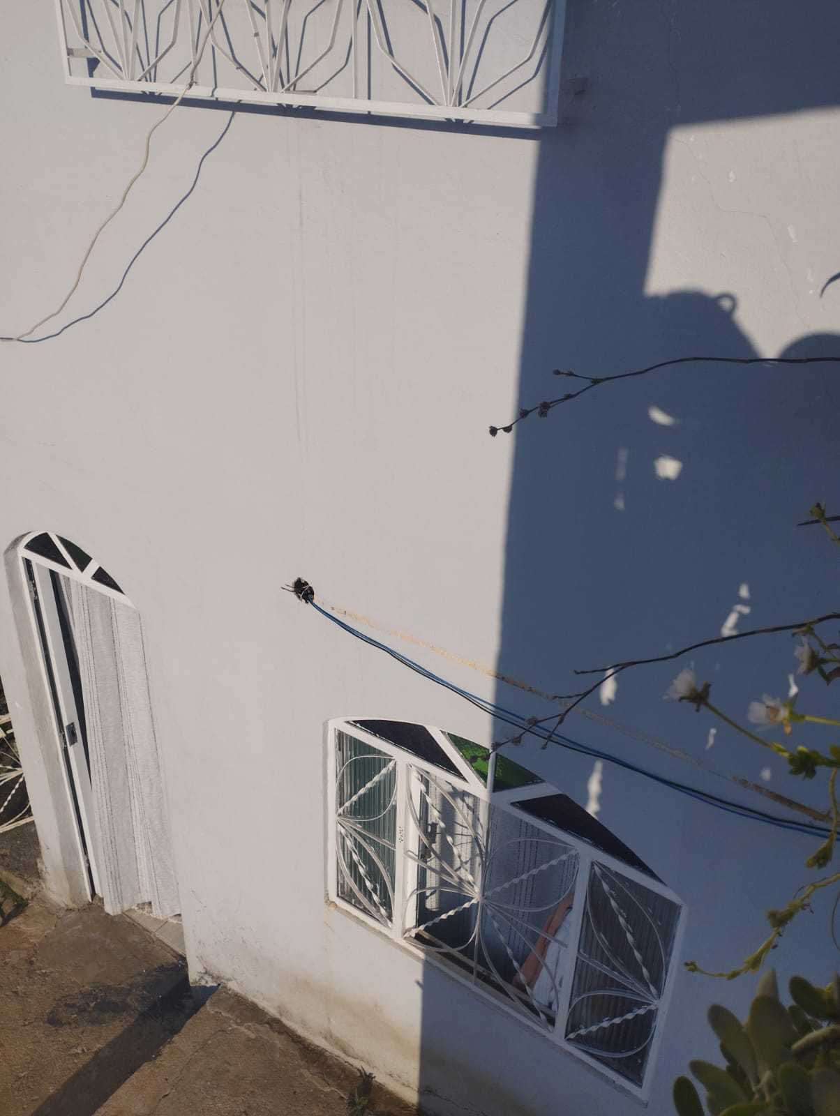 Casa, 3 quartos, 480 m² - Foto 5