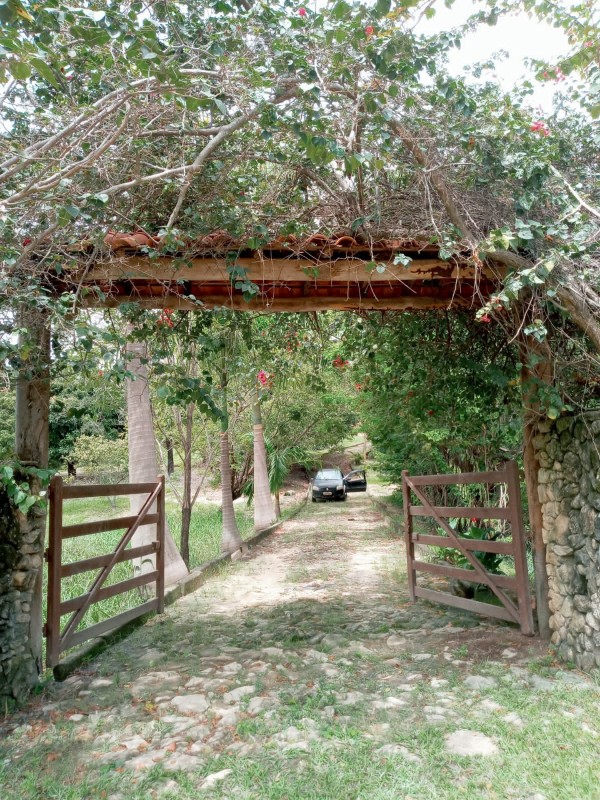 Chácara, 3 quartos - Foto 25