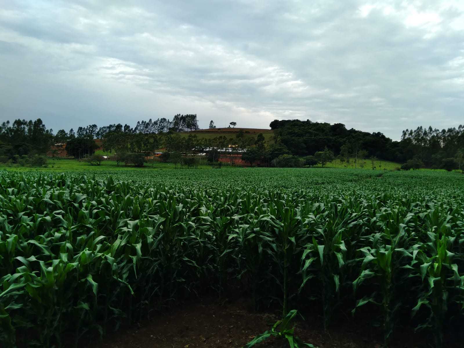 Fazenda, 510 m² - Foto 24