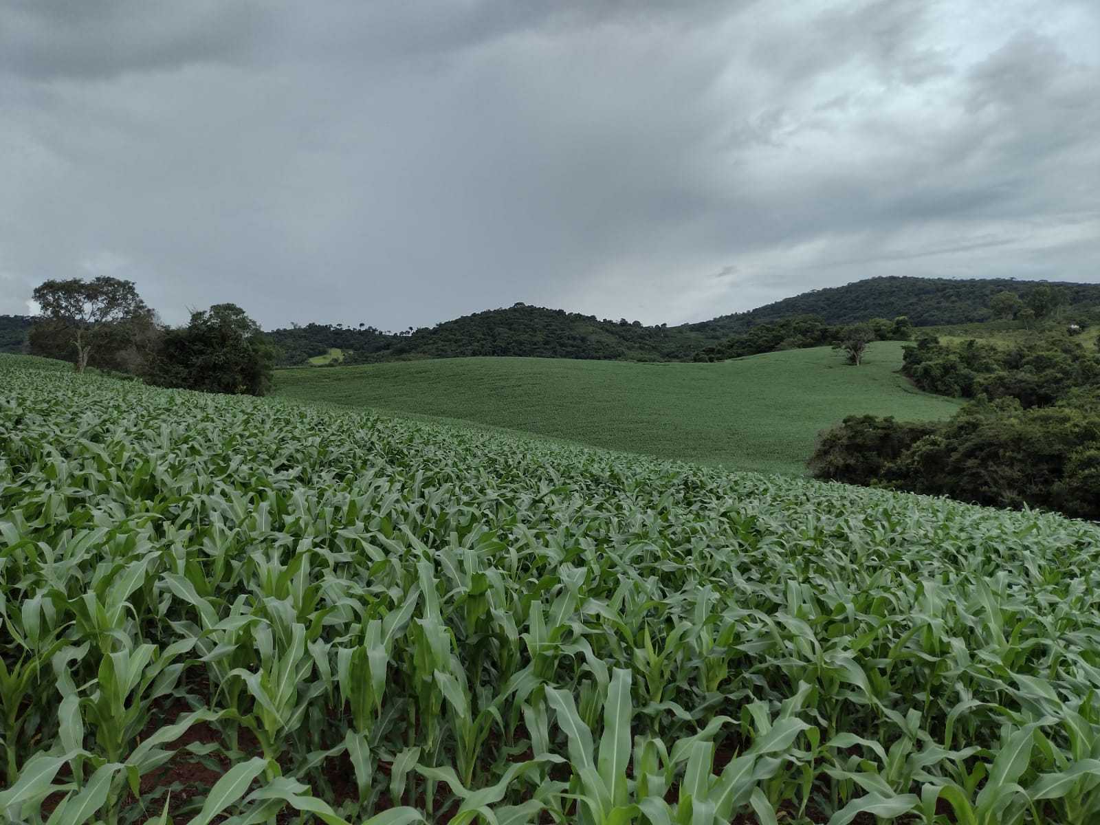 Fazenda, 510 m² - Foto 23