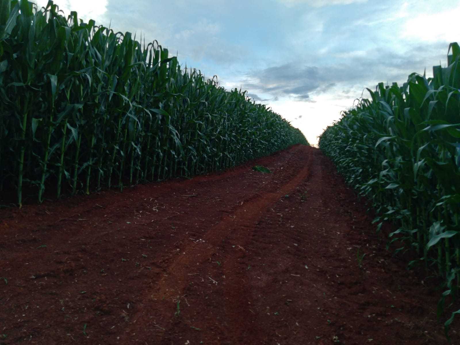 Fazenda, 510 m² - Foto 22