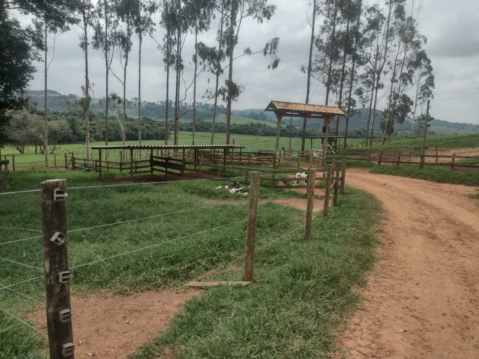 Fazenda, 510 m² - Foto 12