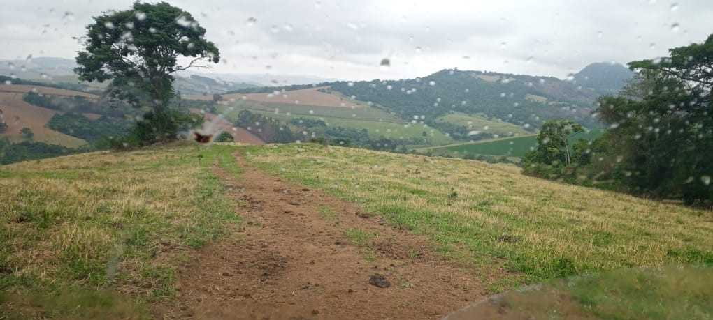 Fazenda, 339 hectares - Foto 9