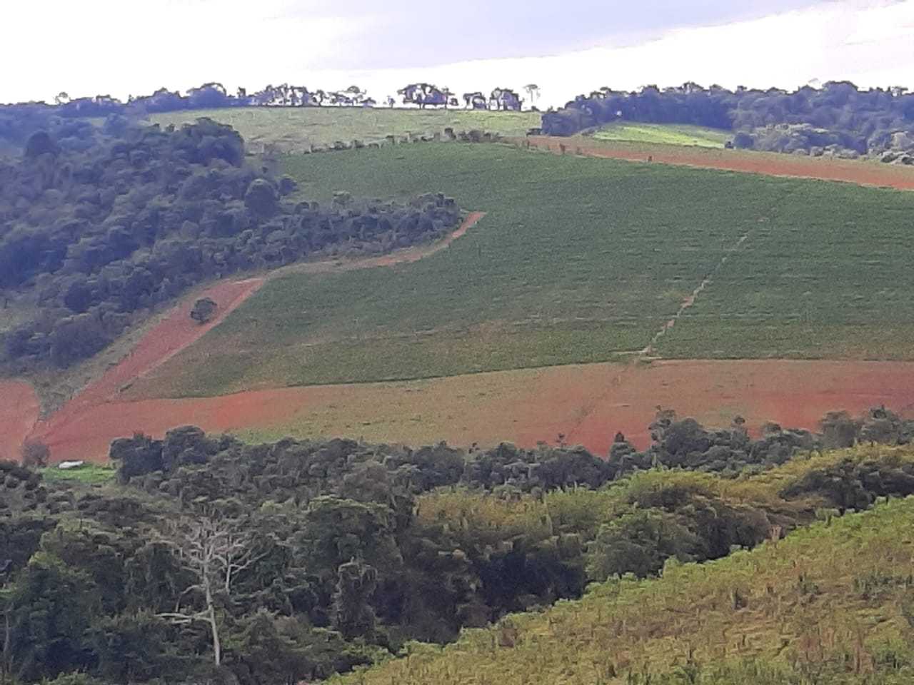 Fazenda, 339 hectares - Foto 6