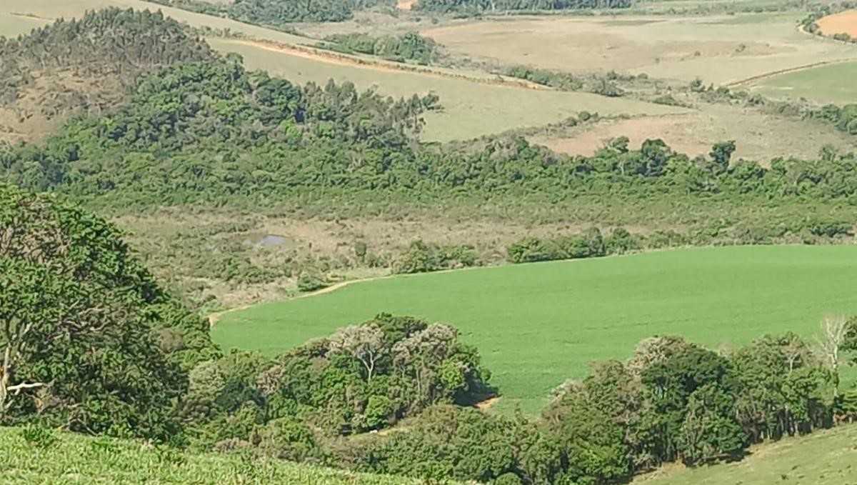 Fazenda, 339 hectares - Foto 25