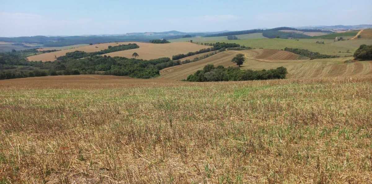 Fazenda, 339 hectares - Foto 17