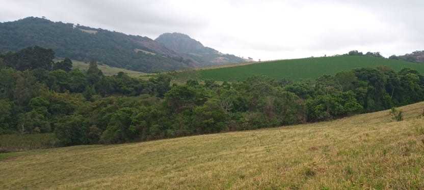 Fazenda, 339 hectares - Foto 20