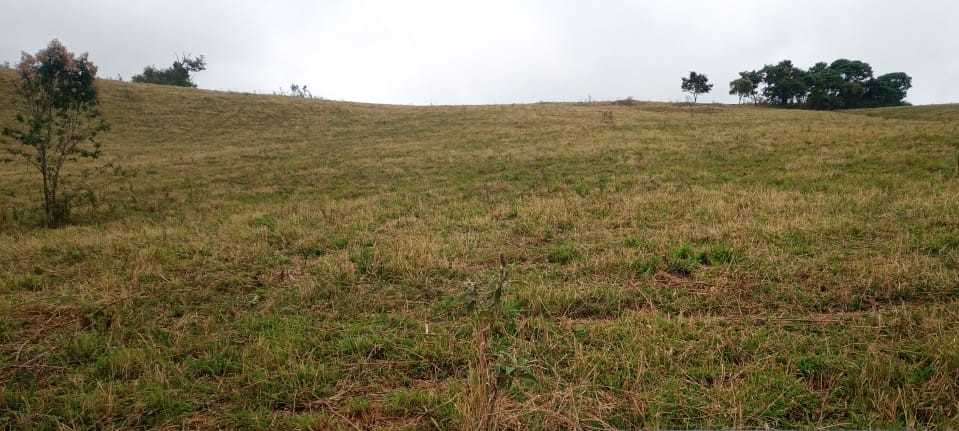 Fazenda, 339 hectares - Foto 12