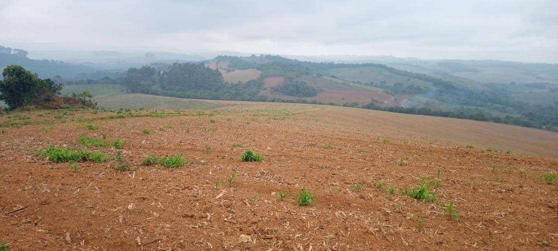 Fazenda, 339 hectares - Foto 11
