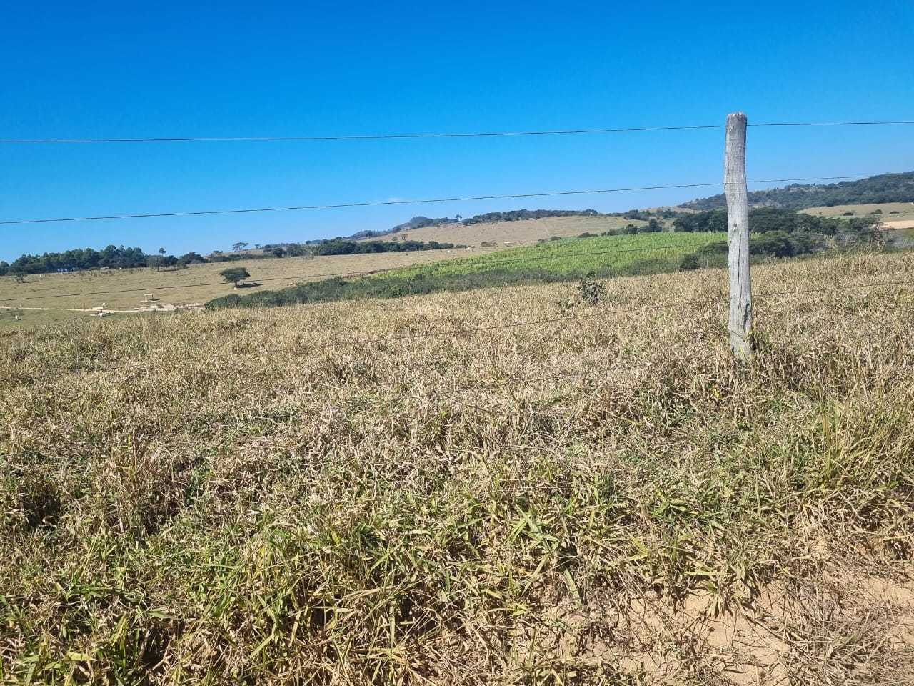 Fazenda-Sítio-Chácara, 600 hectares - Foto 15