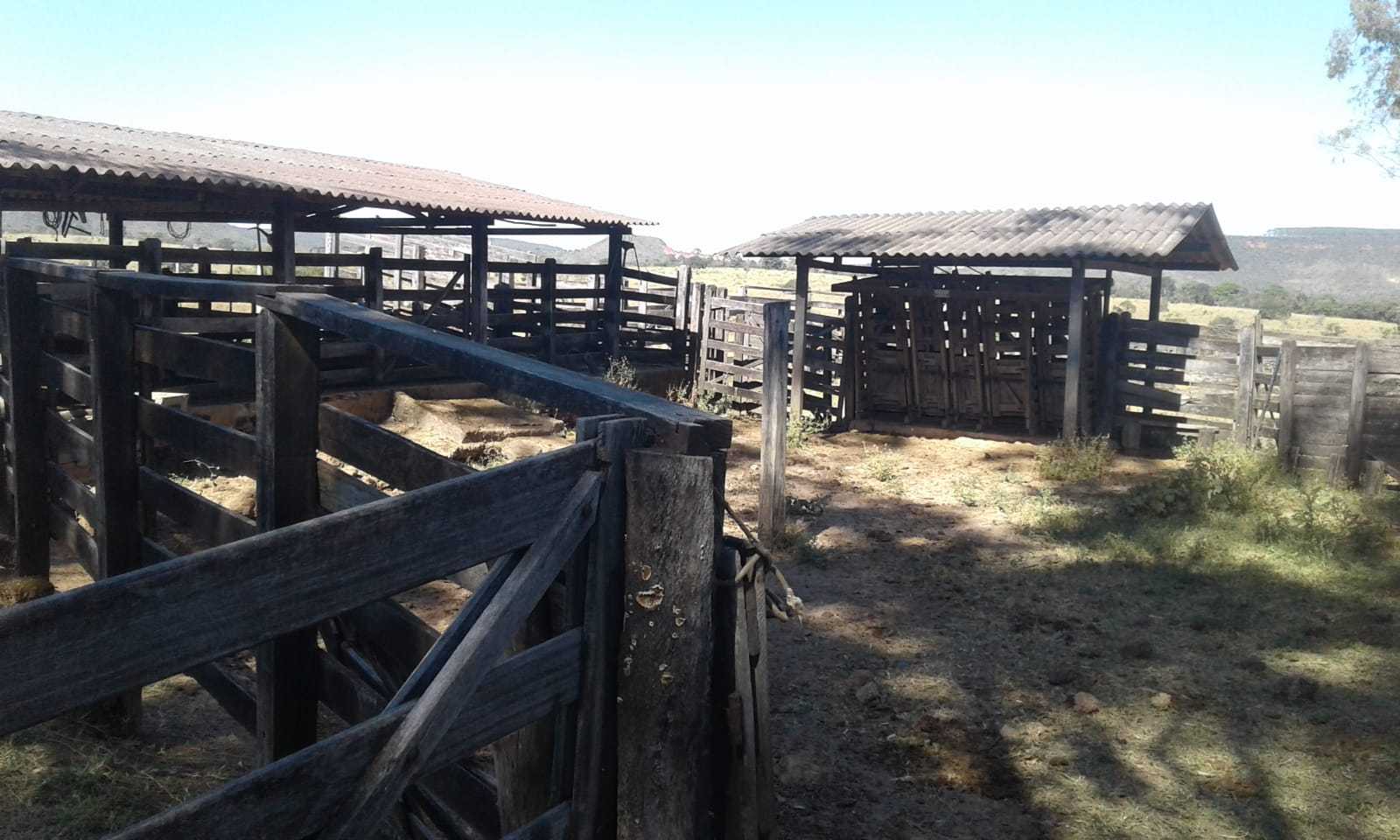Fazenda, 3260 hectares - Foto 10