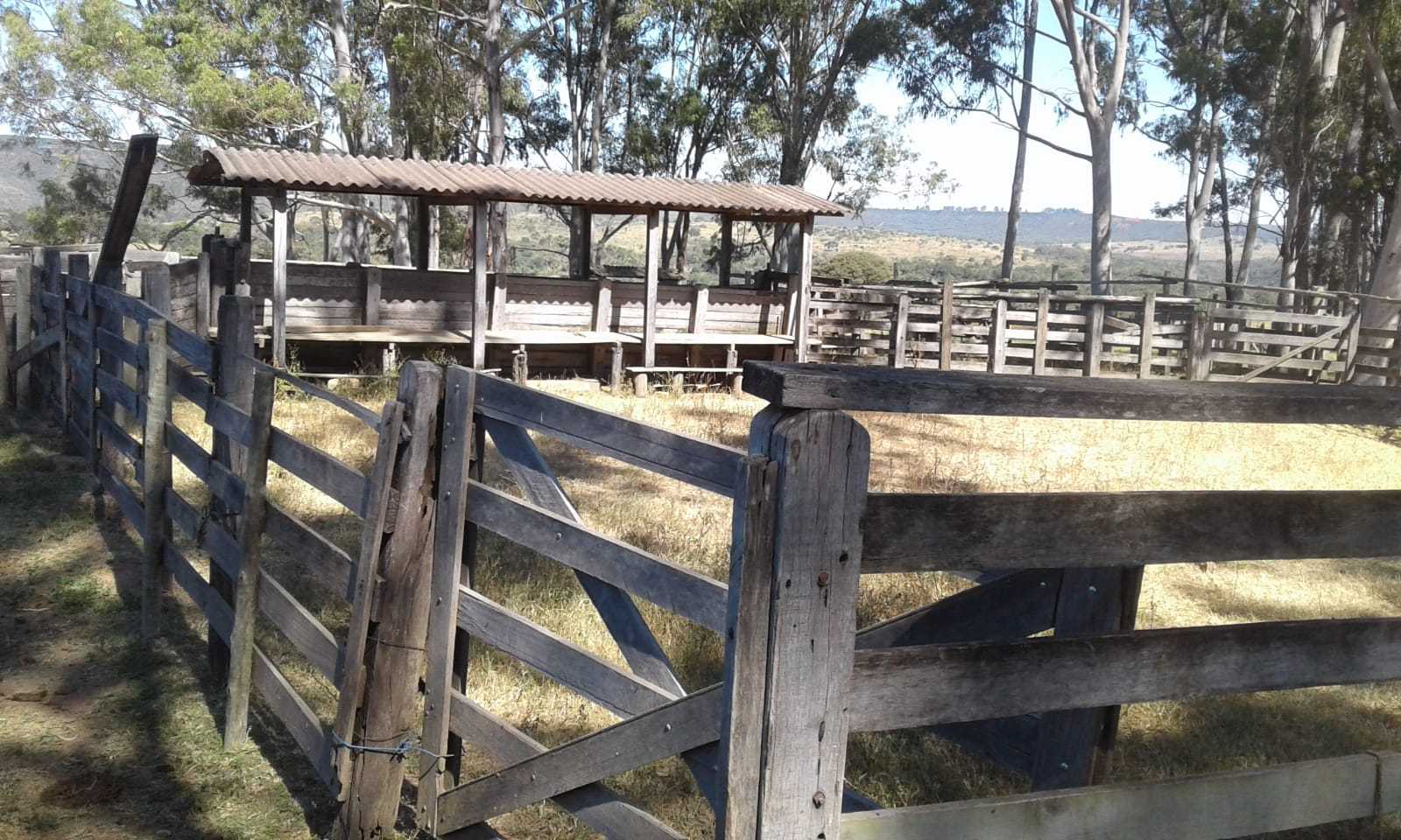 Fazenda, 3260 hectares - Foto 9