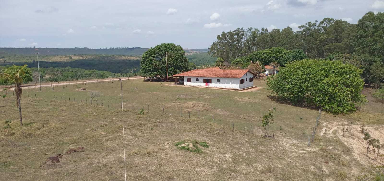 Fazenda, 3260 hectares - Foto 6