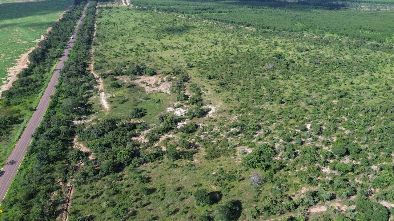 Fazenda, 3260 hectares - Foto 4