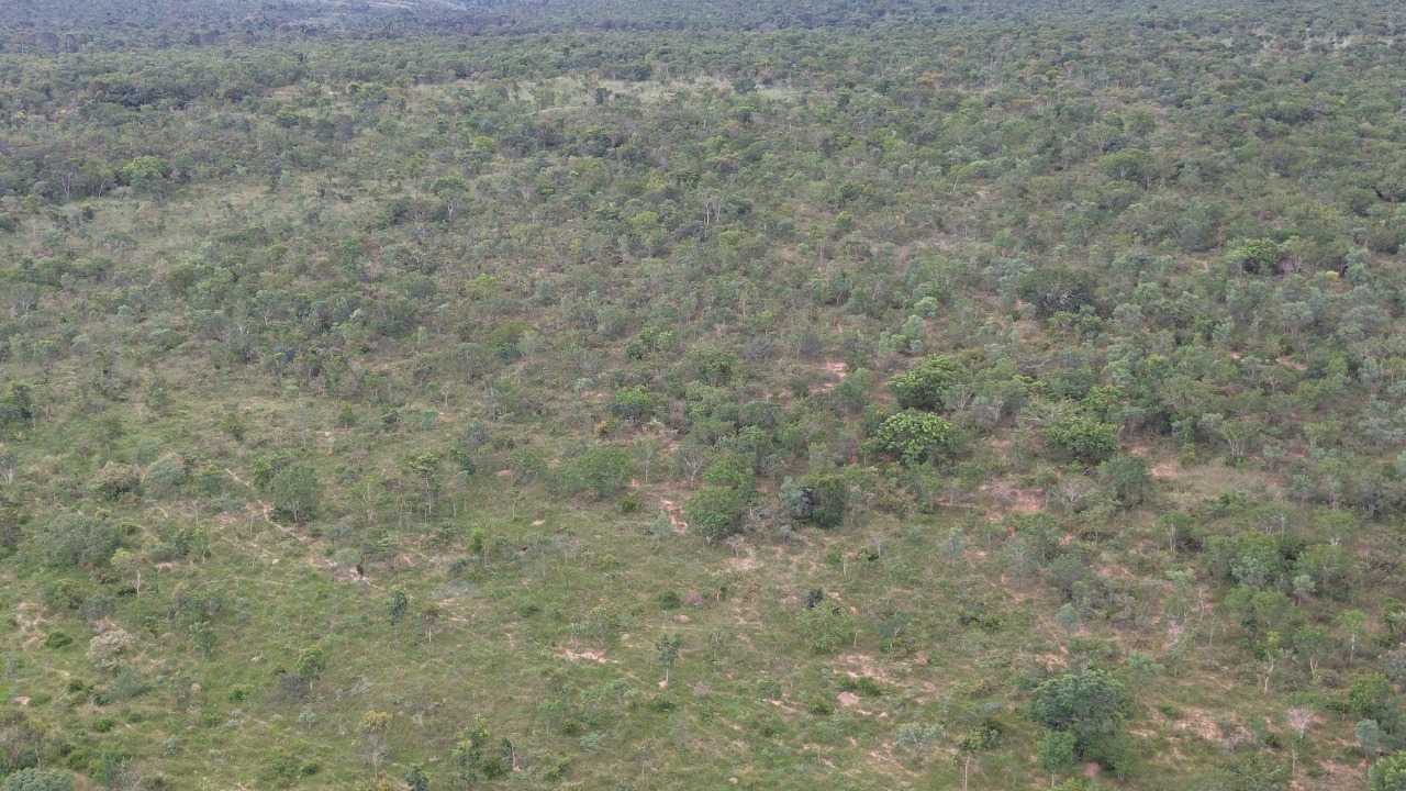 Fazenda, 3260 hectares - Foto 2